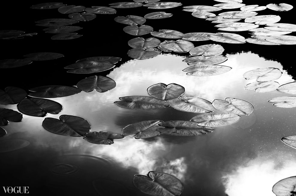 8a659490-9552-11e8-a0b5-ffbb2825d059_largew